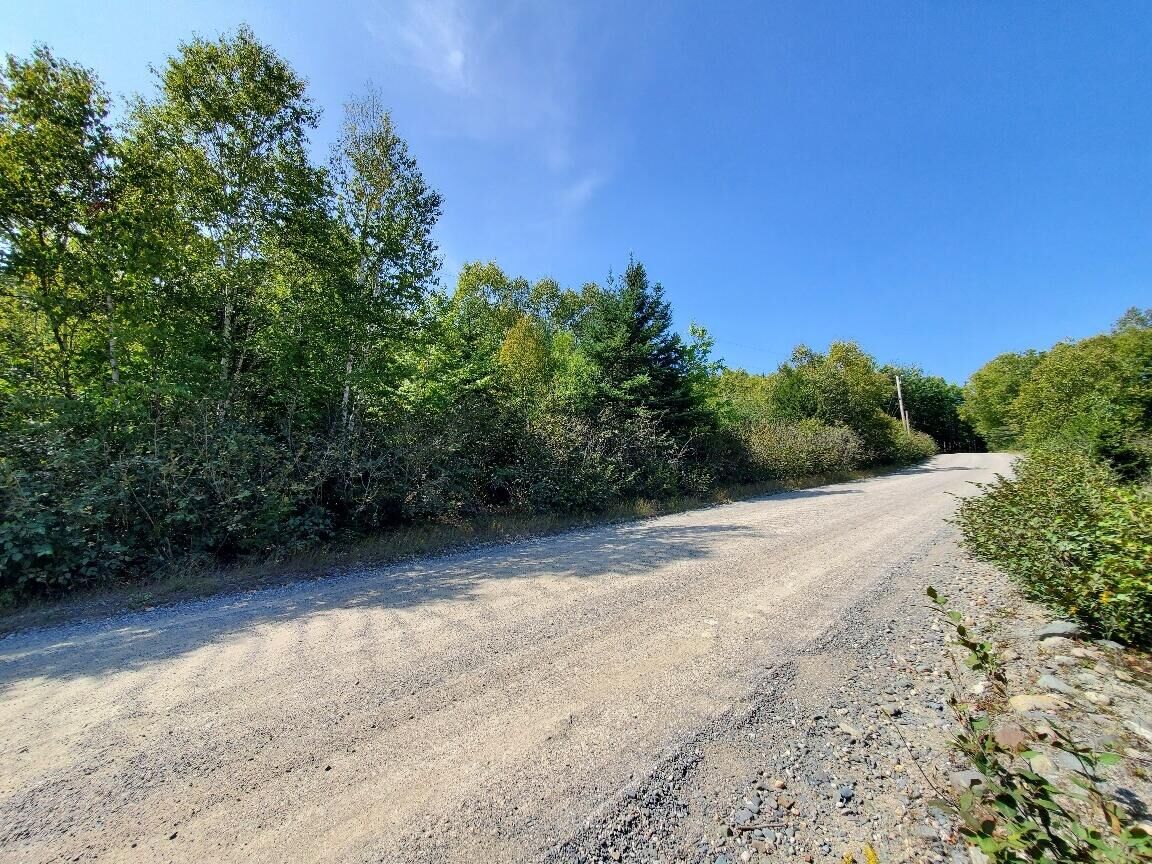Property Photo:  45/46D Duck Cove Road  ME 04654 