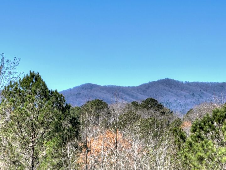 Property Photo:  229-A Crossroads Church Road  GA 30540 