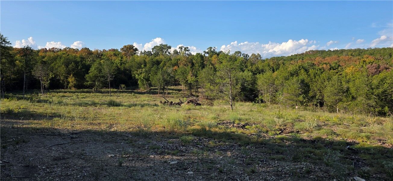 Property Photo:  19001 Old Lowery Road  AR 72662 