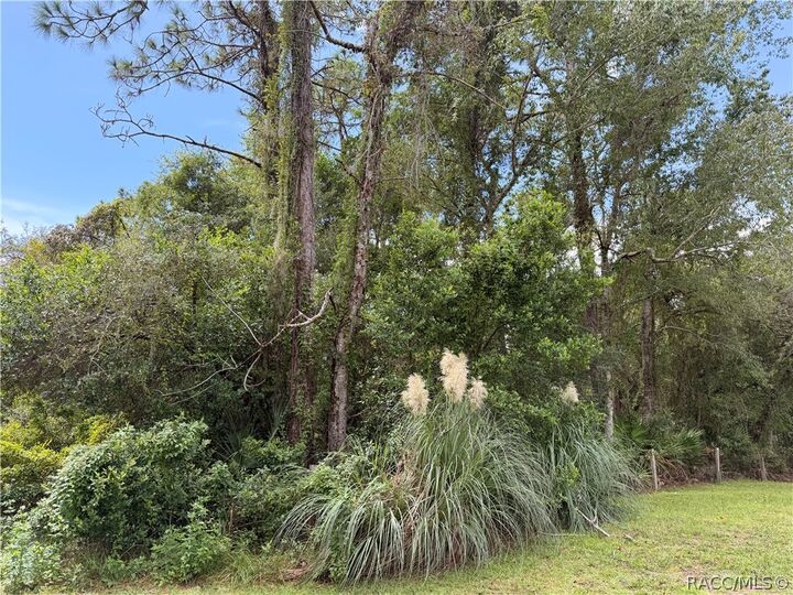 Property Photo:  5710 S Leopard Point  FL 34446 