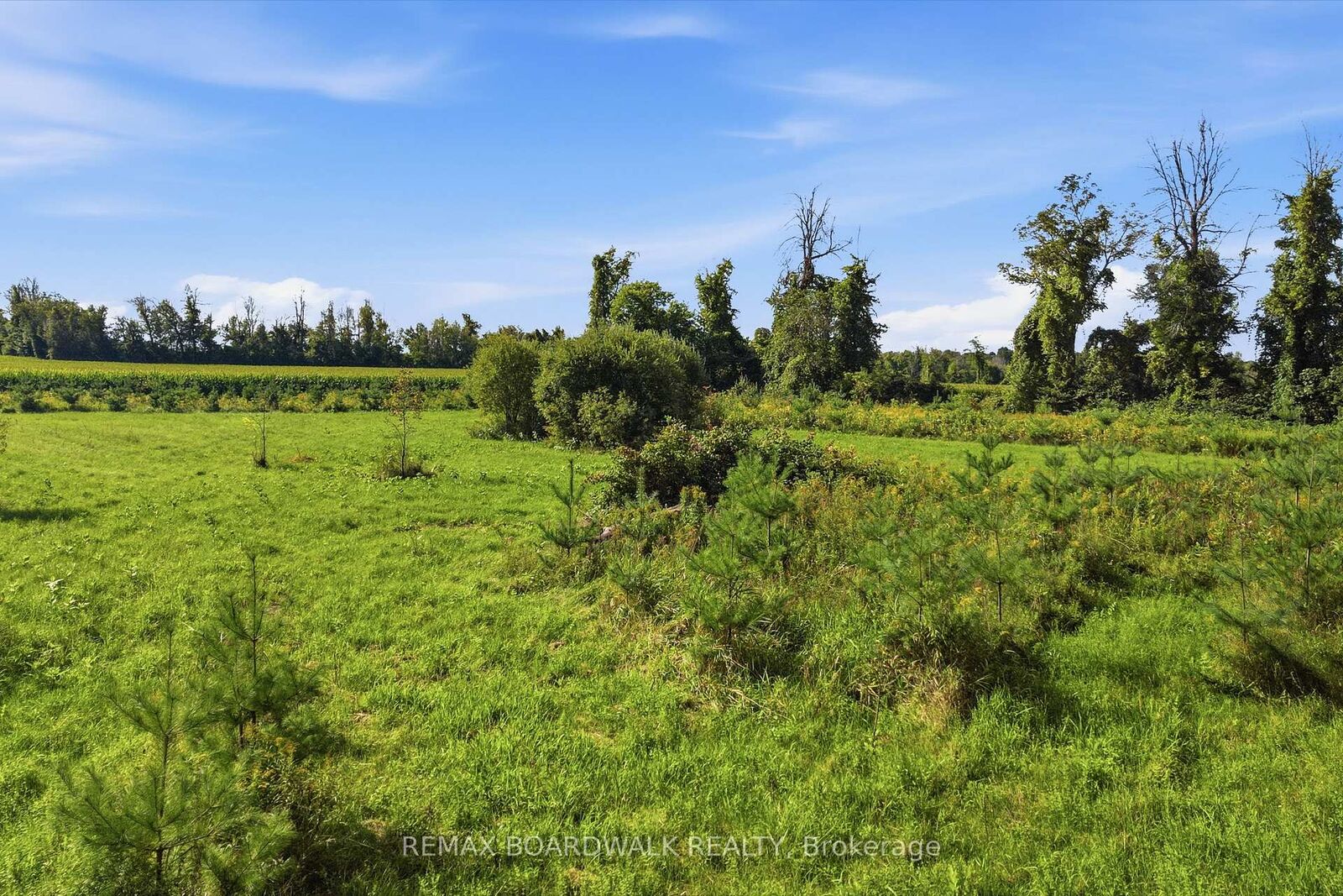 Property Photo:  00 Ferguson Falls Road  ON K0G 1K0 