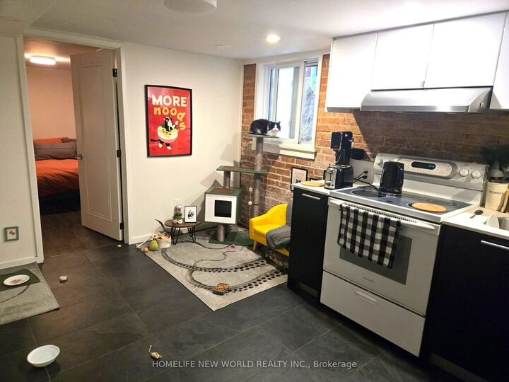 Property Photo:  202 Hallam Street Lower Level  ON M6H 1X7 
