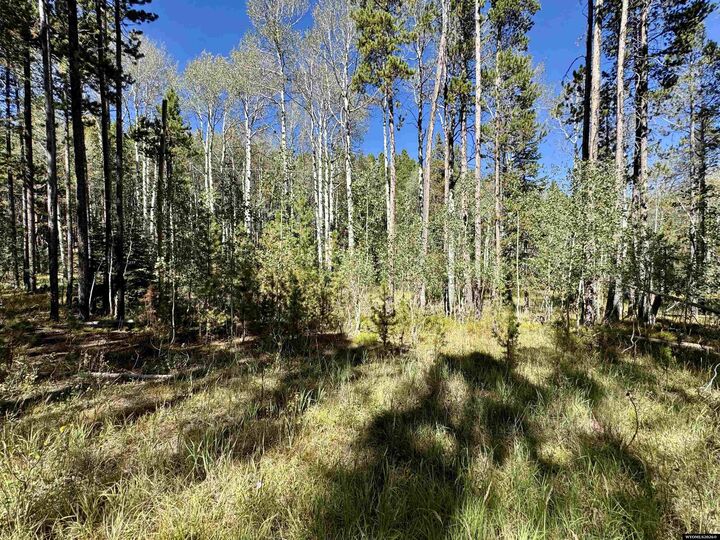 Property Photo: Lot 8 Lemmers WY 82601