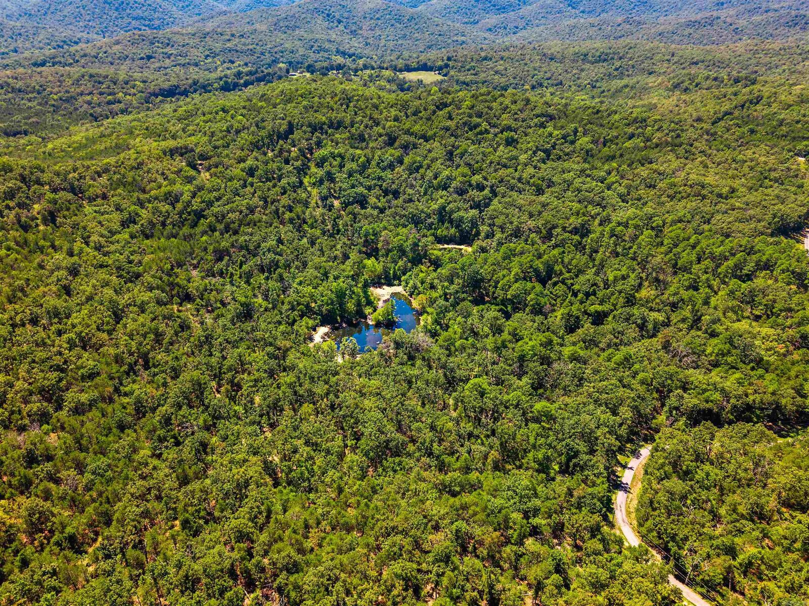 Property Photo: 1499 Ollie Mountain Lane AR 72634