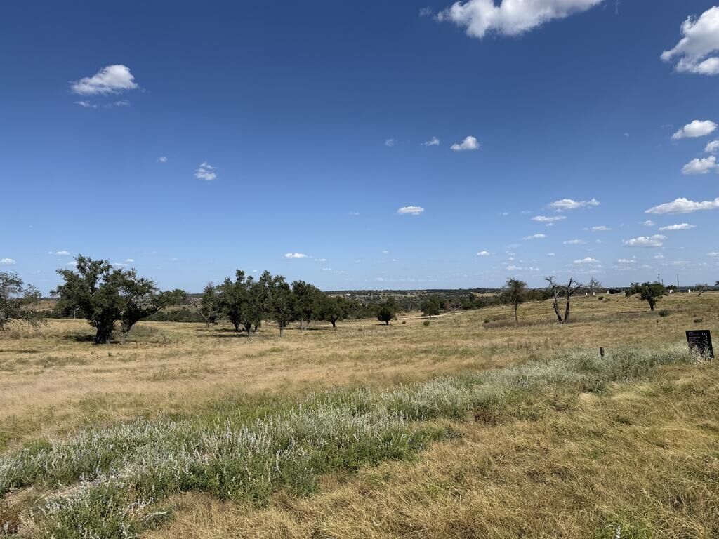 Property Photo:  Lot 4 Badger Ridge Rd  TX 78624 