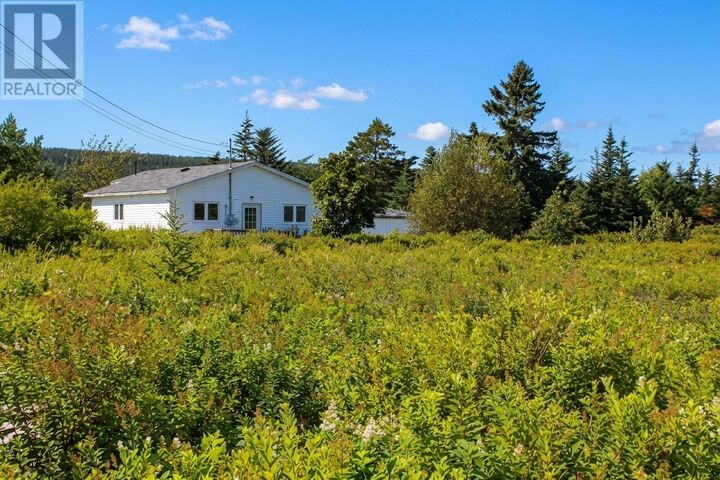 Property Photo:  20 Costello's Lane  NL A0A 1B0 