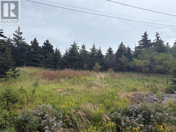 Property Photo:  7-15 Connors Lane  NL A0A 3L0 