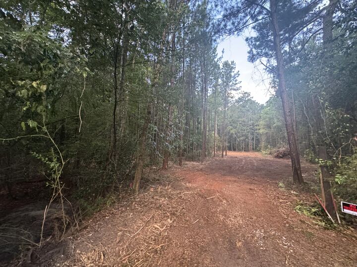 Property Photo:  6 Acres Hill Street  FL 32435 