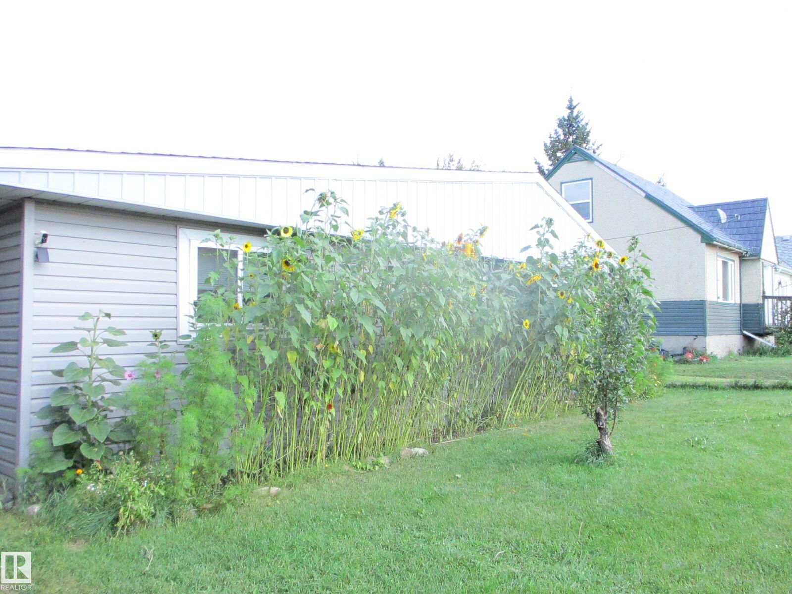 Property Photo:  5022 51 Avenue  AB T0B 2G0 