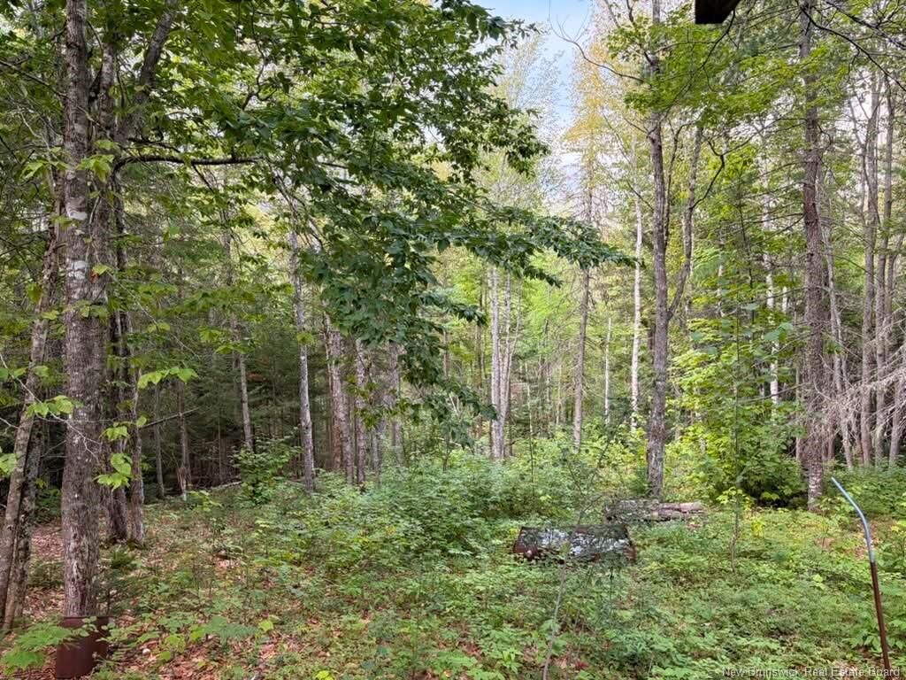 Property Photo:  Don's Lot Green Road  NB E4Z 1T6 