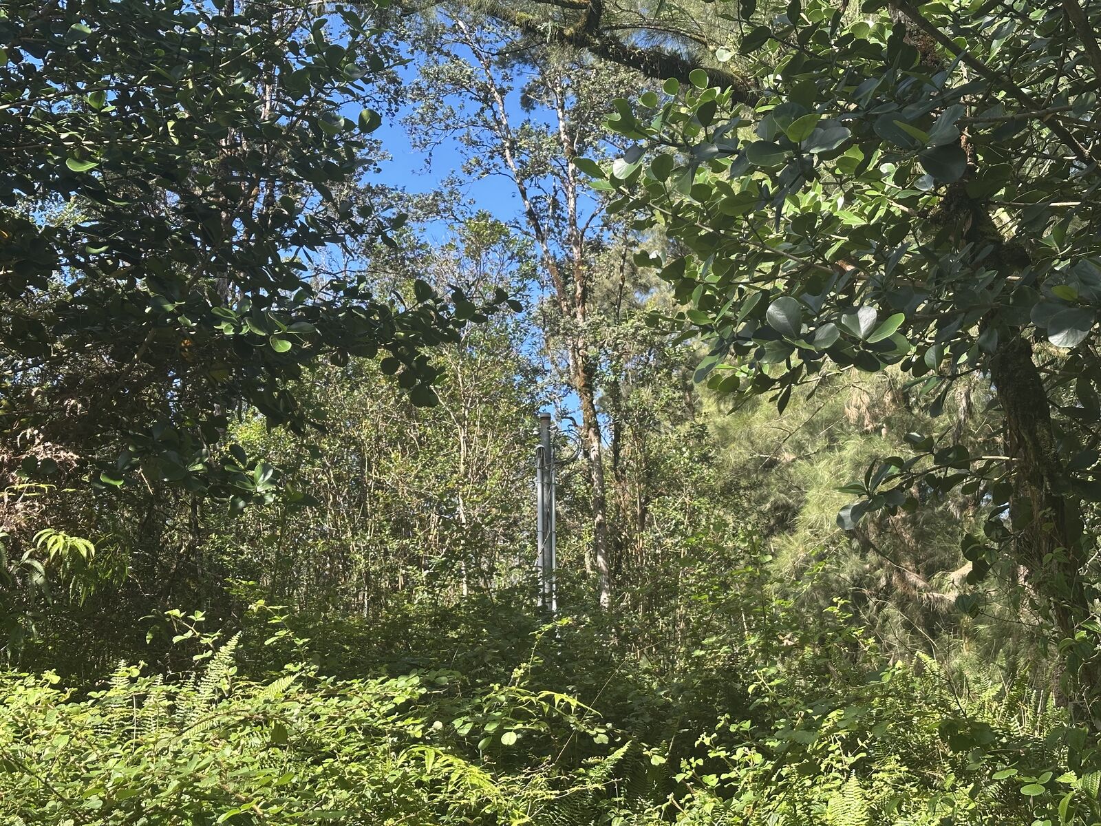 Property Photo:  16-1384 Ao Rd  HI 96771 