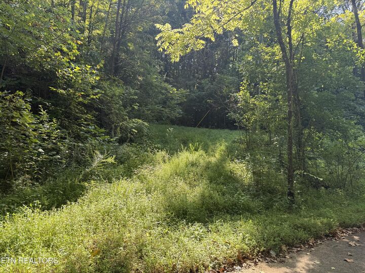Property Photo:  Community Park Rd  TN 37865 