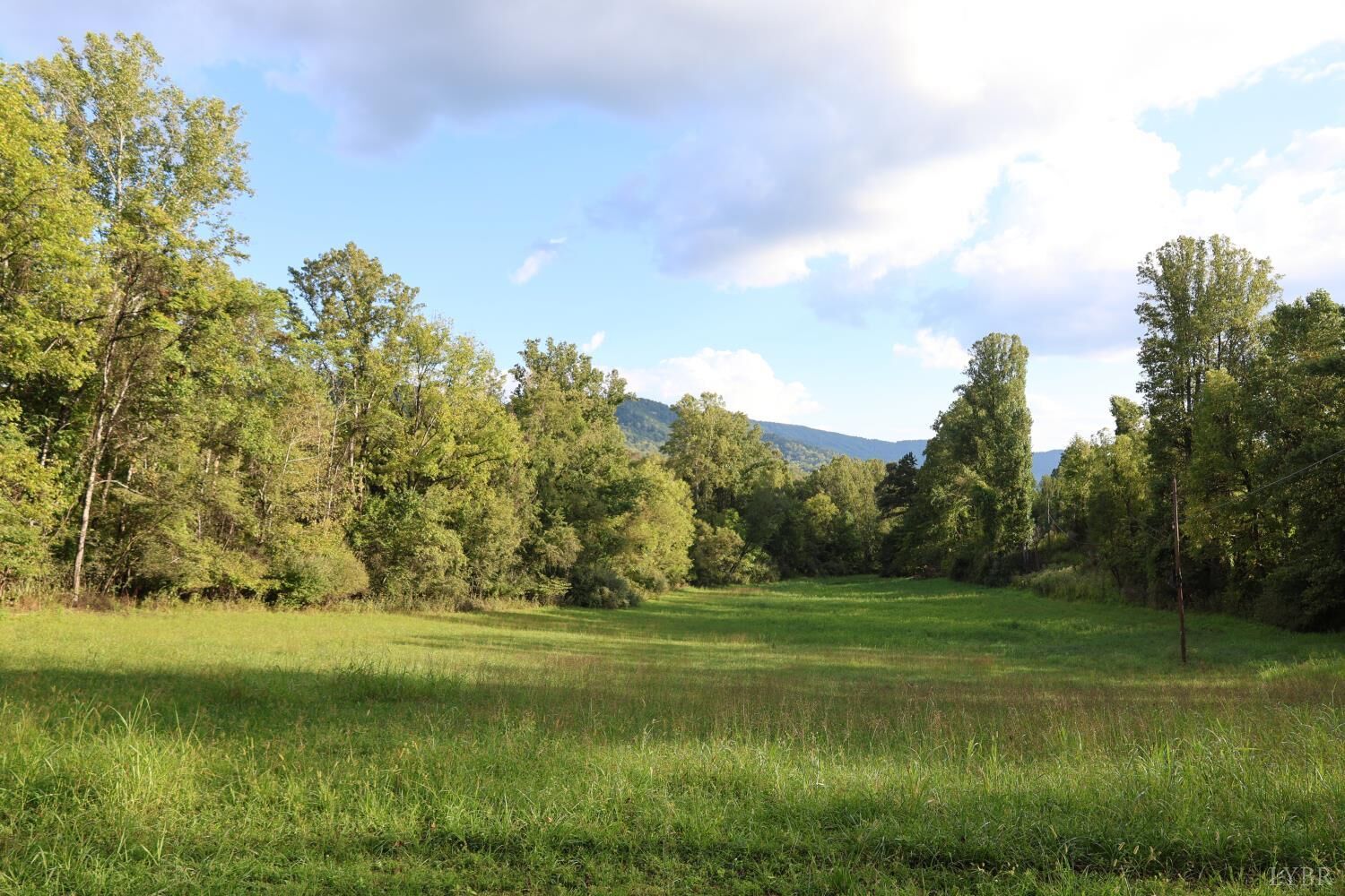 Property Photo:  0 Puppy Creek Road  VA 24521 