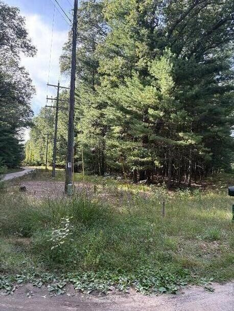 Property Photo:  Lot 136 Wayne Avenue  MI 49449 