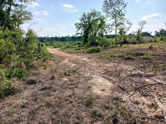 Property Photo:  1570 Hephzibah - McBean Road  GA 30815 