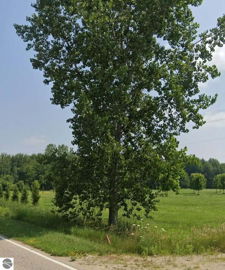 Property Photo:  1873 S Loomis Road  MI 48858 