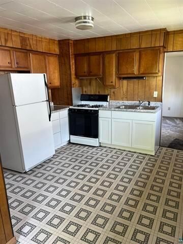 Property Photo:  215 Walnut Avenue  MN 55718 