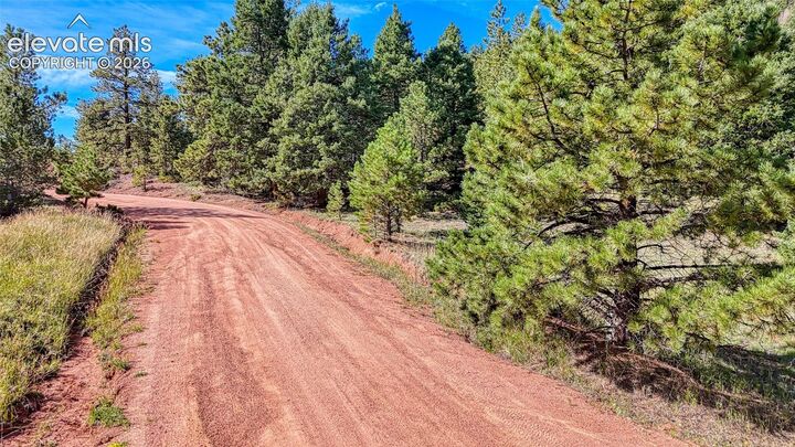 Property Photo:  1232 Monarch Drive  CO 80813 