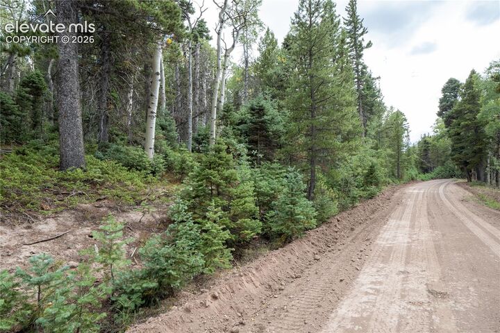 Property Photo:  Lot 2660 Speciale Place  CO 81133 