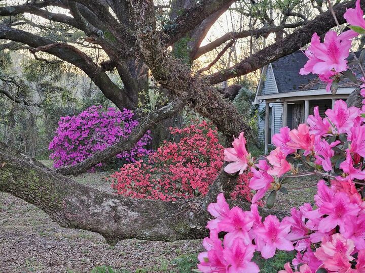 Property Photo: 12240 Old Kiln Road MS 39466