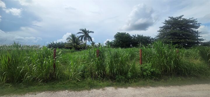 Property Photo:  196 SW 164 Rd  FL 33187 