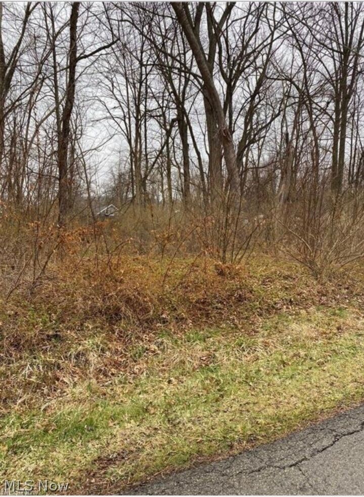 Property Photo:  Overlook Way  OH 44429 
