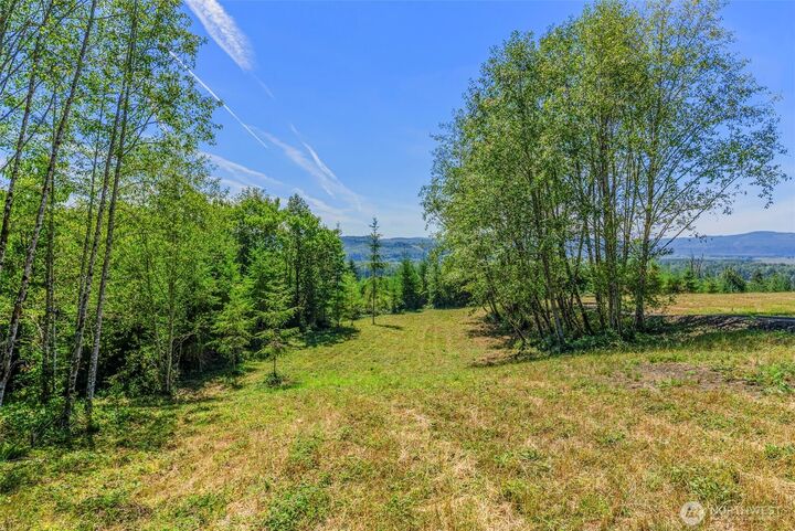 Property Photo: 0 Old Tree Farm Drive D WA 98632