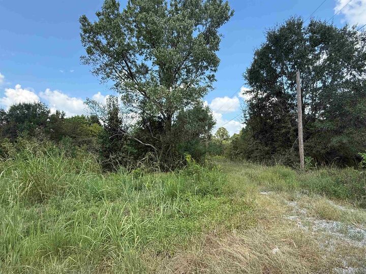 Property Photo:  4.6 Acres Hwy 278  AL 35055 