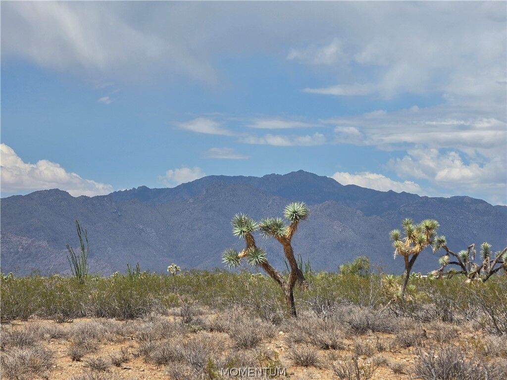 Property Photo: 243-10-020 S Alamo Road AZ 86438