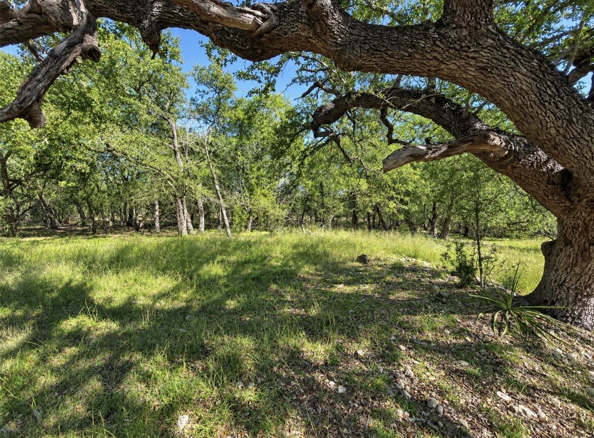 Property Photo:  Tbd Carney Lane  TX 78676 