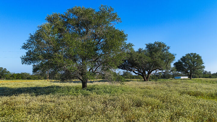 Property Photo: 2612 Roosevelt Drive TX 78638