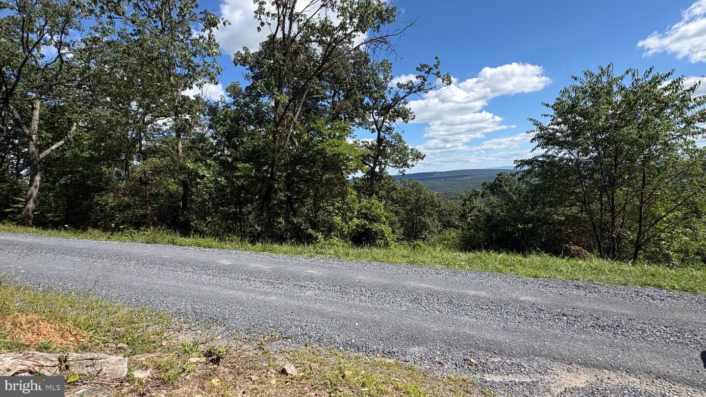 Property Photo:  Lot 113 Tomahawk Trail  VA 22602 