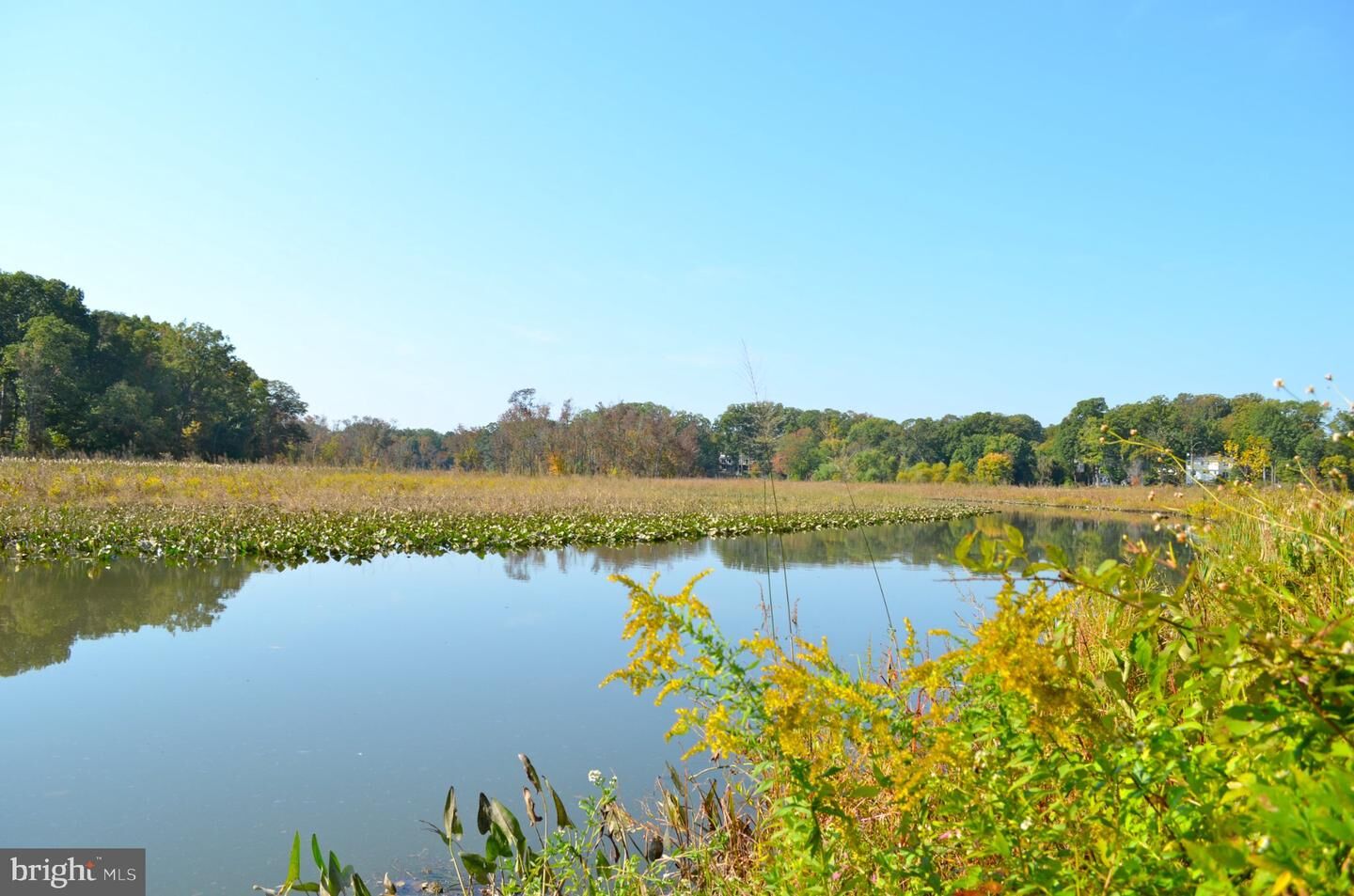 Property Photo: 8267 Clifton Farm Court VA 22306