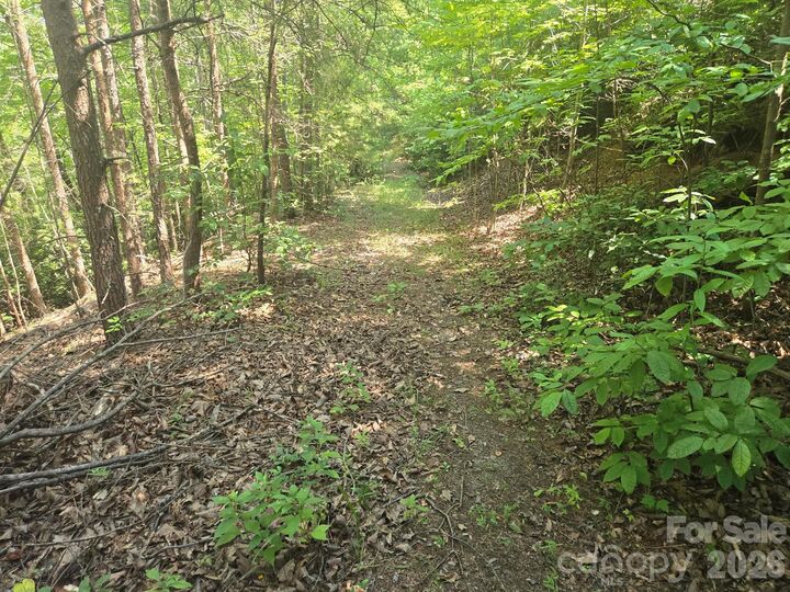 Property Photo:  Lot 1 &Amp 2 Eagles Crest Way  NC 28746 