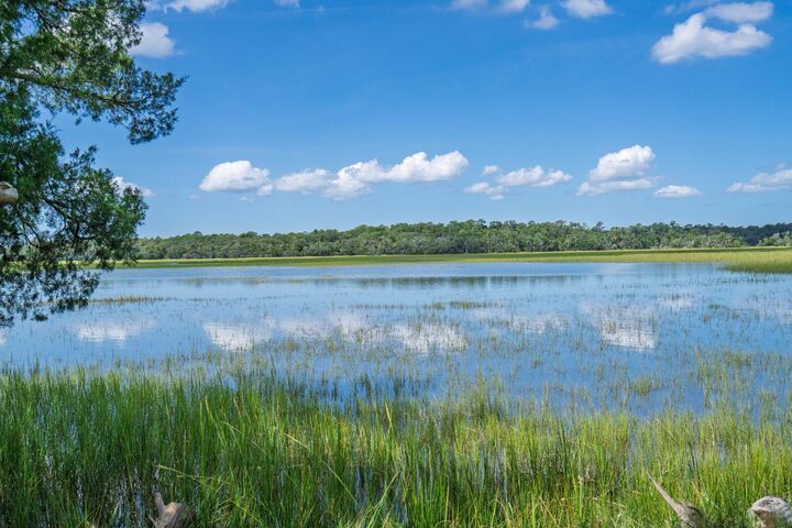 Property Photo:  125 Jungle Road  SC 29438 