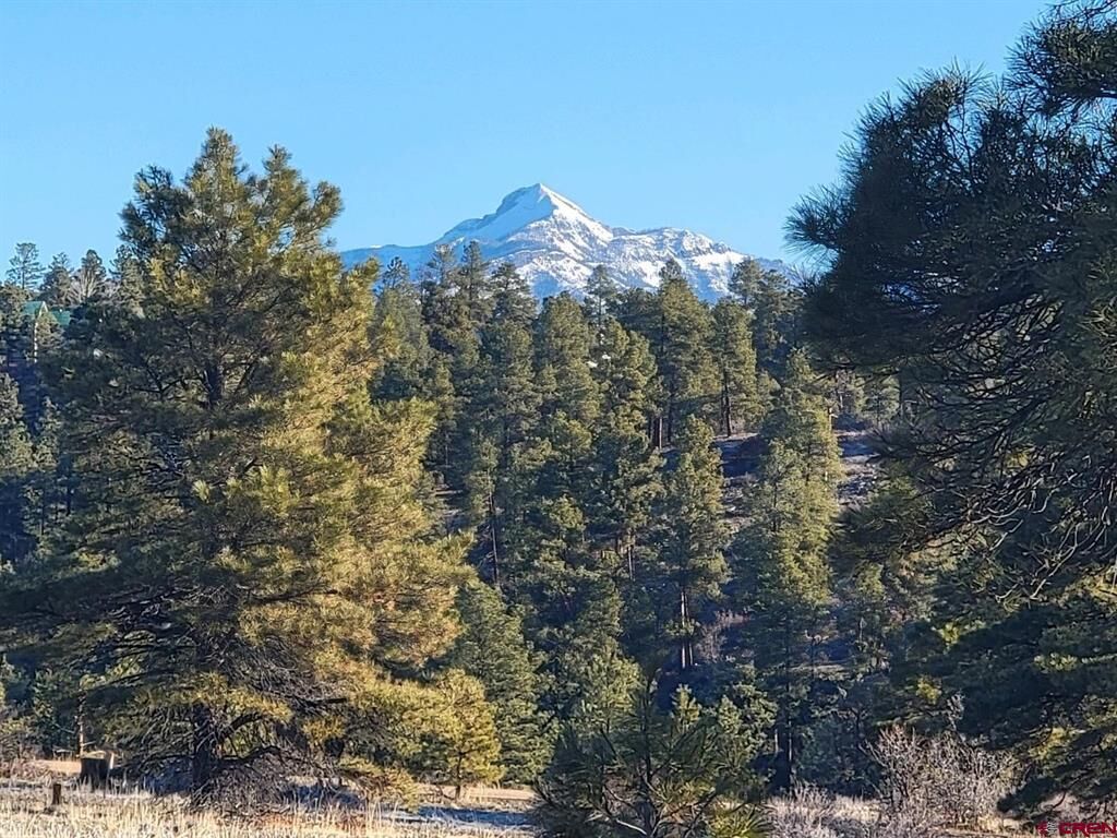 Property Photo:  642 Trails Boulevard  CO 81147 