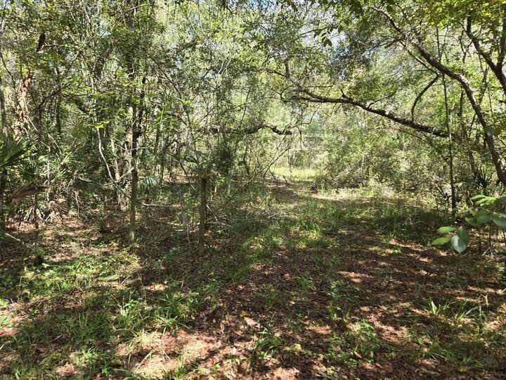 Property Photo:  Lot 35 SE 229 Ln  FL 32680 