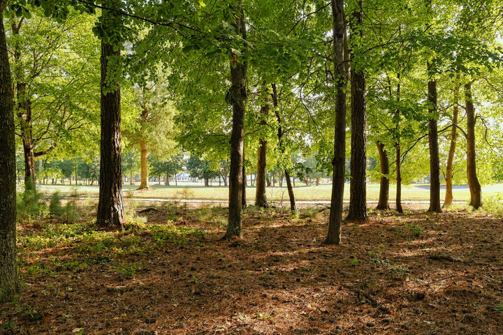Property Photo:  8 Nellie Stevens Ct  VA 23310 