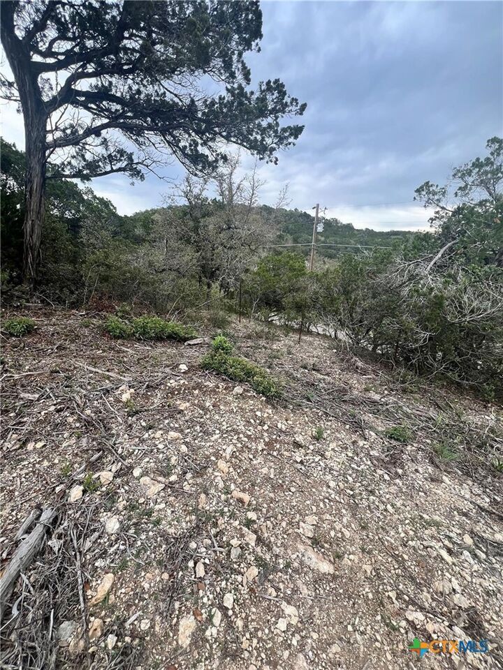 Property Photo:  19705 Tyler Trail  TX 78645 