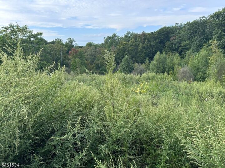 Property Photo:  14 Nicholas Dr  NJ 07405 
