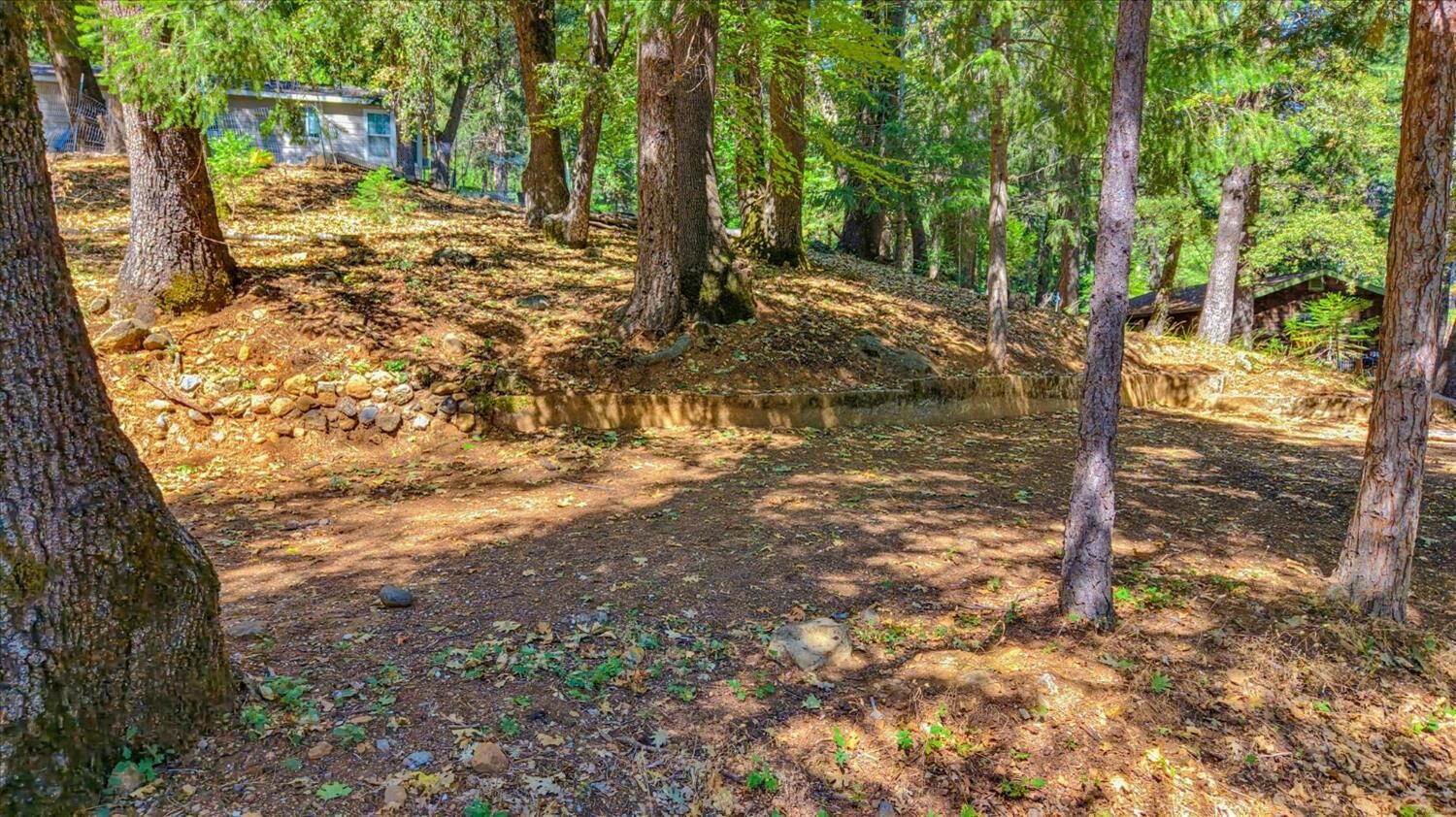 Property Photo:  12277 Pawnee Trail  CA 95959 