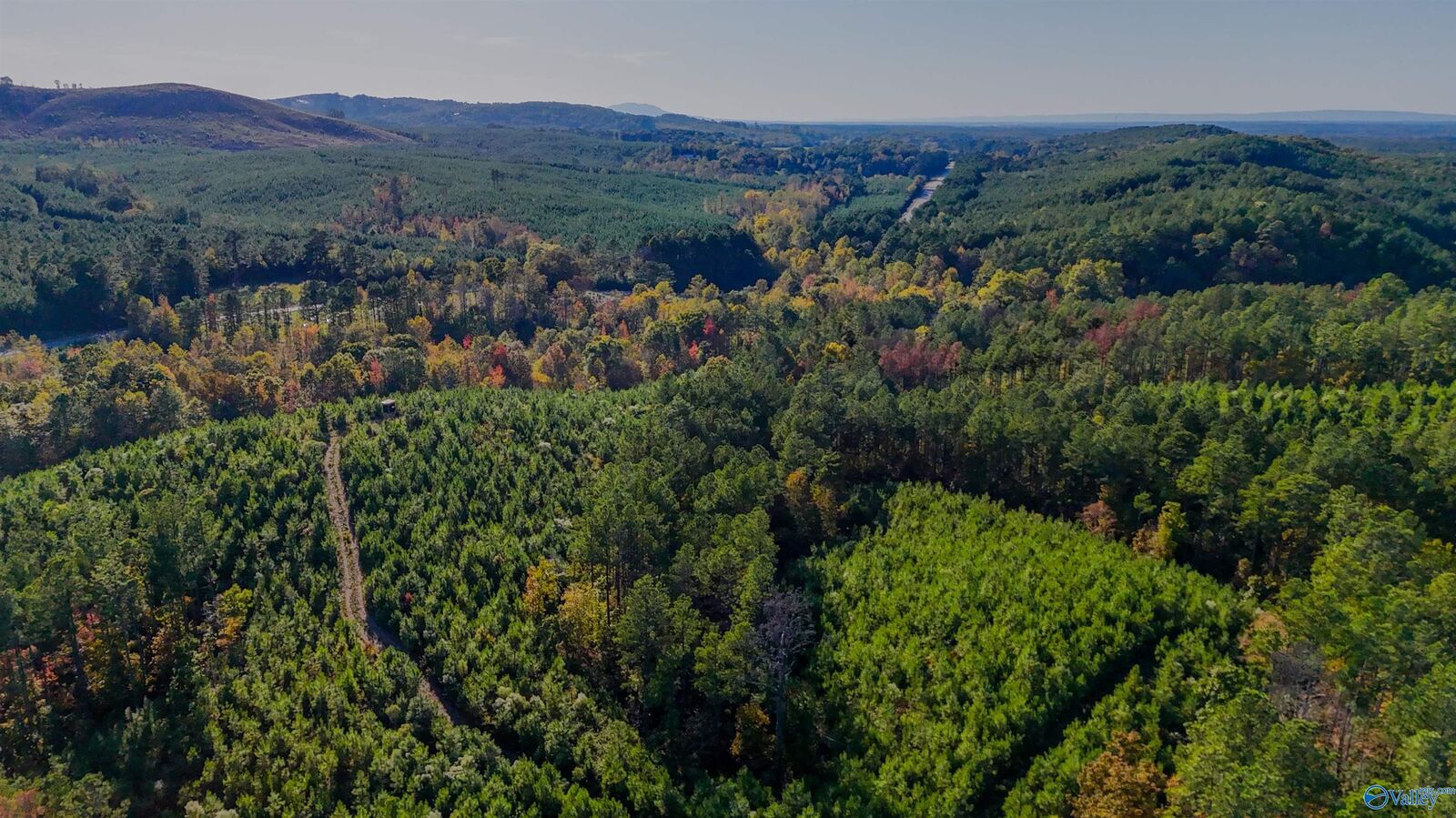 Property Photo:  33 County Road 101  AL 35960 