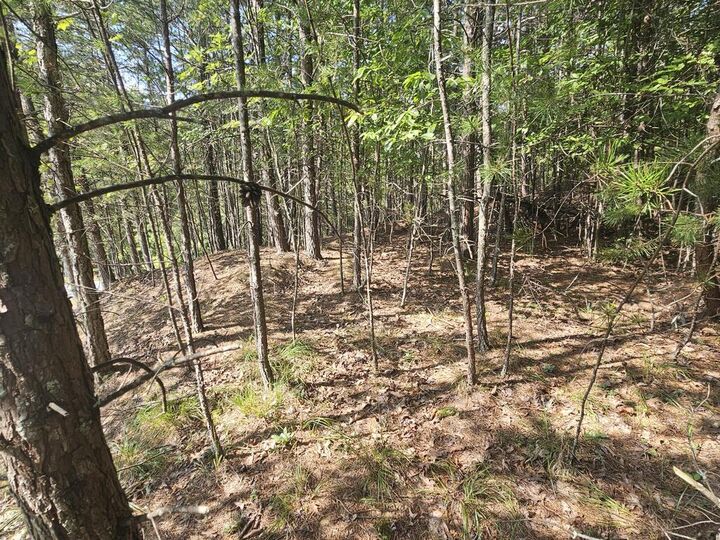 Property Photo:  Lot 76 Wildcat Drive  NC 28906 