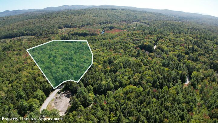 Property Photo:  38 Winding Wood Road  NH 03287 