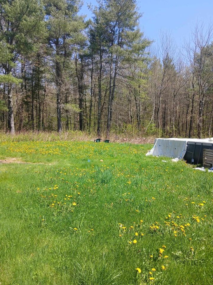 Property Photo: 207 Marlow Hill Road NH 03456