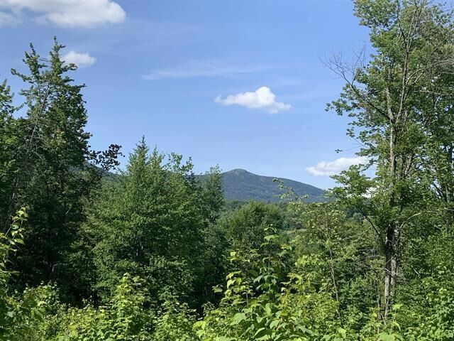 Property Photo:  0 Leland Farm Road  VT 05602 