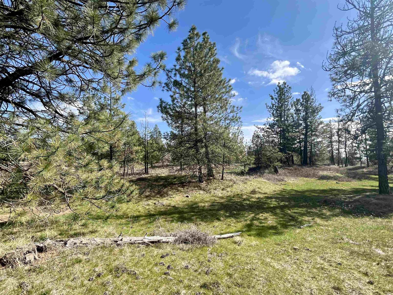 Property Photo:  249015 W Kitt Rd  WA 99029 