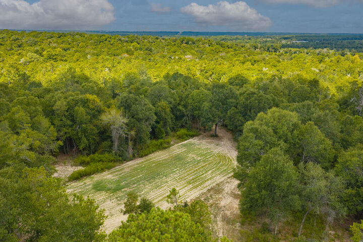 Property Photo: 0 Power Dam Road AL 36352