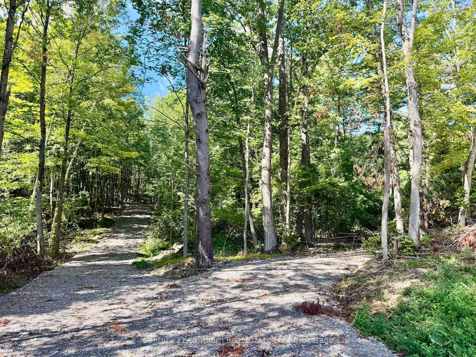 Property Photo:  00 North Lot Highway 62 N/A  ON K0K 2K0 