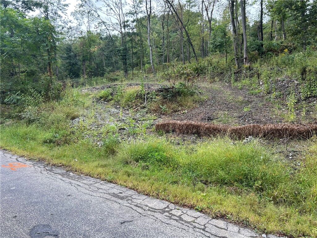 Property Photo: 0 Norwood Drive PA 15010